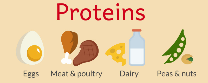 Los huevos, las aves, los productos lácteos, los guisantes y las nueces son las mejores fuentes de proteínas.