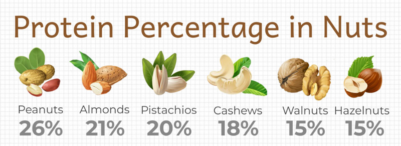 Los frutos secos ricos en proteínas incluyen cacahuetes, almendras, pistachos, anacardos, nueces, avellanas.